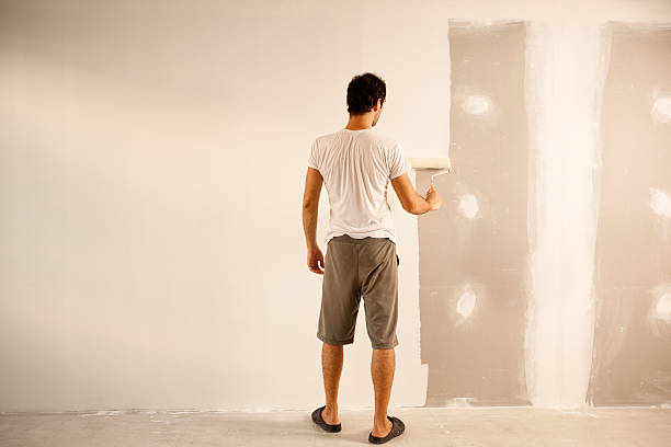 Best Fire-Damaged Drywall Repair  in West Lafayette, OH